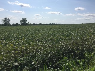 Property photo 3 - FARM AUCTION - 70.50+/- ACRES OFFERED IN 3 TRACTS IN WAYNE COUNTY, INDIANA